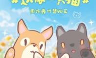 猫咪和汤×北京领养日×小米食堂 送你一只猫(猫咪和汤官方正版)