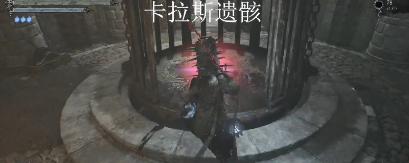 《堕落之主》面纱穿刺者得到方法