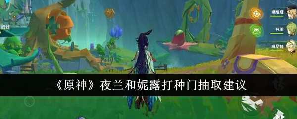 《原神》夜兰和妮露打种门抽取建议