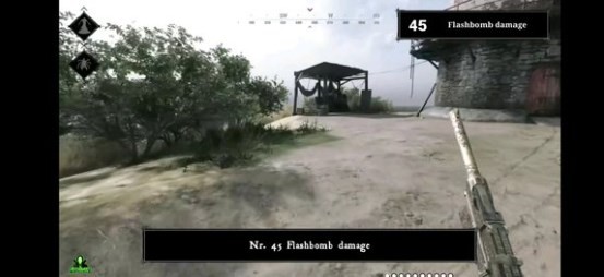 《猎杀：对决》闪光弹有伤害吗