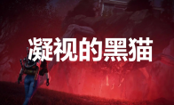 《七日世界》凝视的黑猫怎么获取(《七日世界》凝视在线阅读)