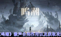 《鸣潮》激声合剂作用以及获取攻略(潮鸣音乐鉴赏)