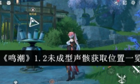 《鸣潮》1.2未成型声骸获取位置一览(《鸣潮》的战斗系统解析)