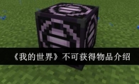《我的世界》不可获得物品介绍(我的世界不可破坏有什么用)