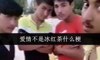 爱情不是冰红茶什么梗(爱情不是爱)