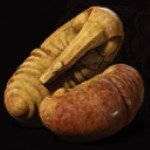 《黑神话：悟空》三冬虫在哪