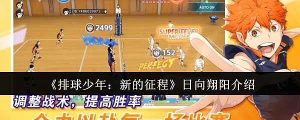 《排球少年：新的征程》日向翔阳介绍