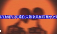我在秋风之中等你只等来风和雨是什么歌(我在秋风之中等你小说)
