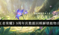 《王者荣耀》9周年庆数据回顾解锁植物介绍(王者荣耀9周年是几号)