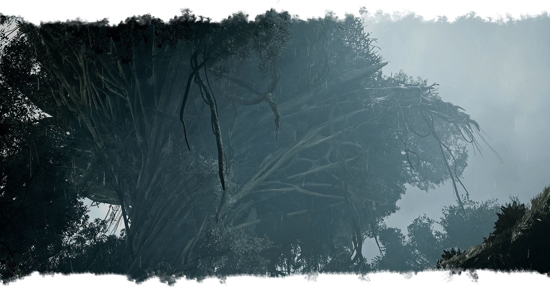 《怪物猎人：荒野》绯红森林地图介绍