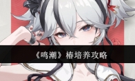 《鸣潮》椿培养攻略(潮鸣苑2幢4单元凶杀案)