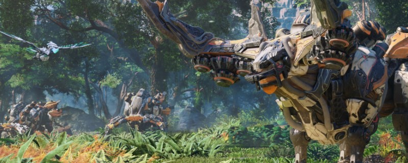 《荒野起源》阿奇尼玛卡介绍