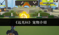 《远光84》宠物介绍(远光狗惩罚的图片)