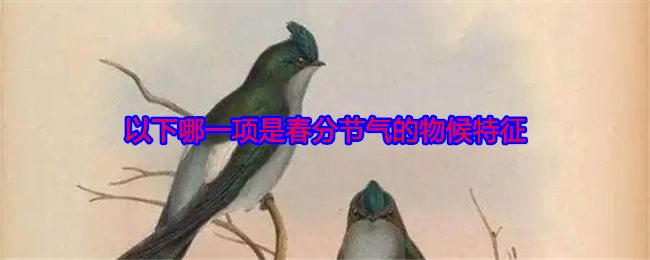 以下哪一项是春分节气的物候特征