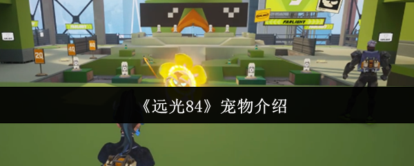 《远光84》宠物介绍