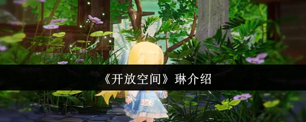 《开放空间》琳介绍