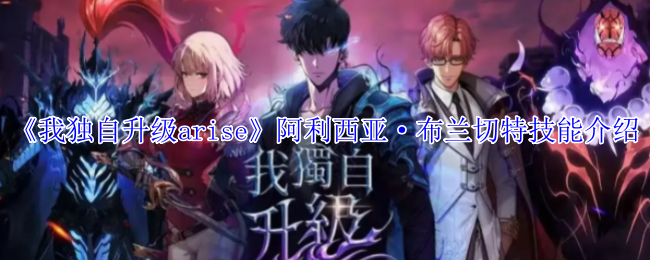 《我独自升级arise》银鬃白律浩技能介绍