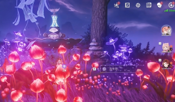 《鸣潮》幽夜幻梦任务攻略