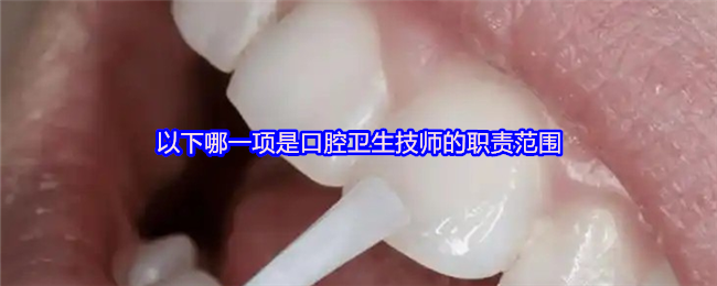以下哪一项是口腔卫生技师的职责范围