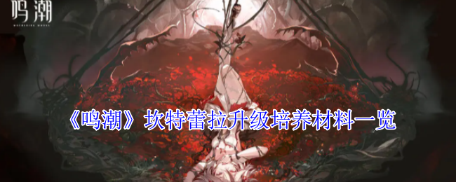 《鸣潮》坎特蕾拉升级培养材料一览