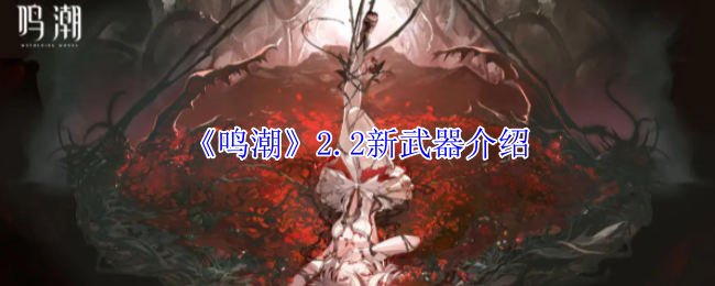 《鸣潮》2.2新武器介绍