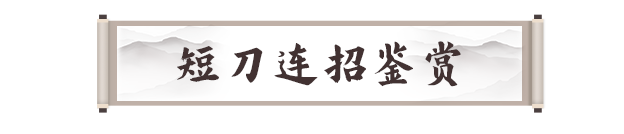 《剑灵2》短刀职业攻略