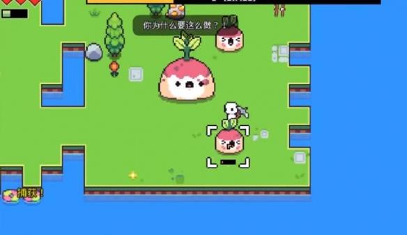 《浮岛冒险》甜菜精岛作用介绍