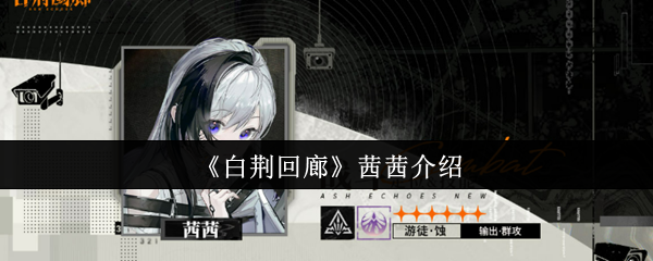 《白荆回廊》茜茜介绍