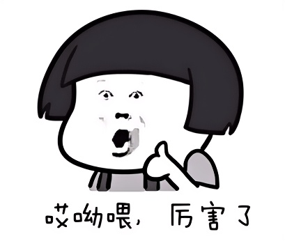 拉格全新锆石级护卫舰登场，听说是空海双型王牌？