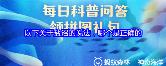 以下关于盐沼的说法，哪个是正确的