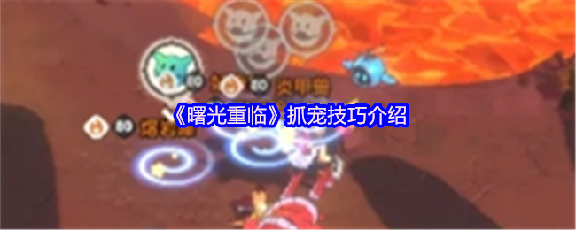 《曙光重临》抓宠技巧介绍