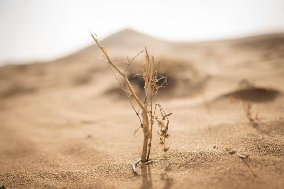 当拉格朗日遇上地球日，玩家还能参与“中国奇迹”？百连抽卡不香了！