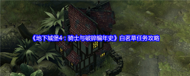 《地下城堡4：骑士与破碎编年史》白茗草任务攻略
