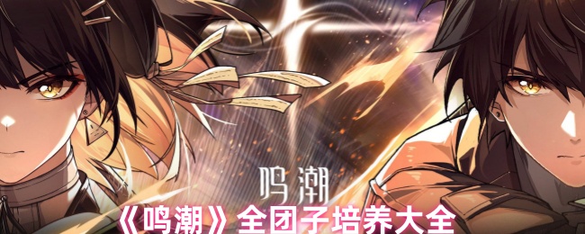 《鸣潮》全团子培养大全