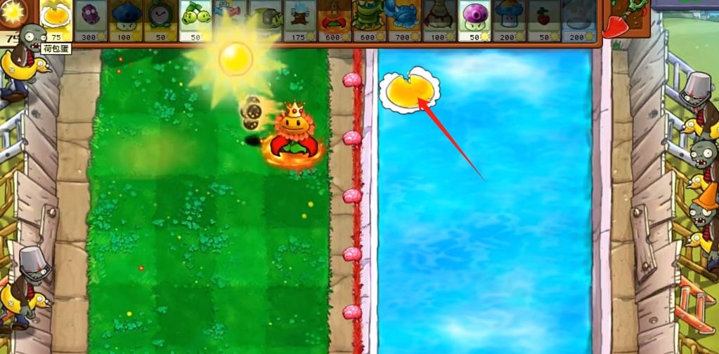 《植物大战僵尸杂交版》星光闪卡荷包蛋属性介绍