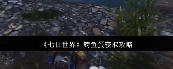 《七日世界》鳄鱼蛋获取攻略