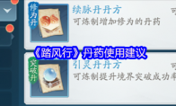 《踏风行》丹药使用建议(踏风是谁的坐骑)