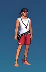 《地下城与勇士：起源》夏日泳装全职业外观一览