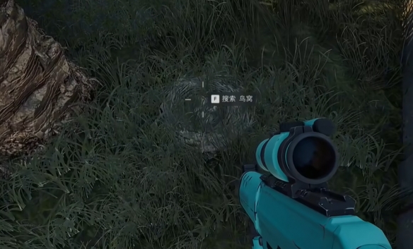 《三角洲行动》零号大坝鸟窝位置一览