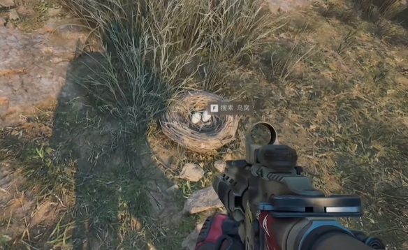 《三角洲行动》零号大坝鸟窝位置一览