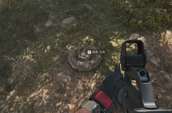 《三角洲行动》零号大坝鸟窝位置一览