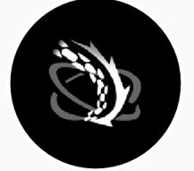 《胜利女神：新的希望》米哈拉技能介绍