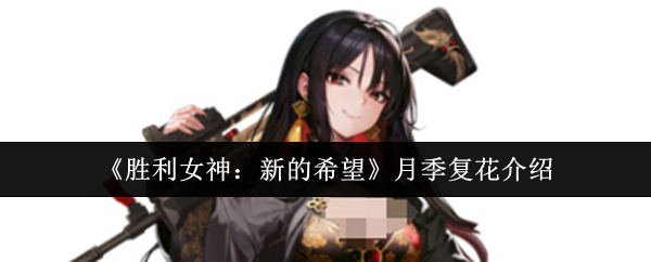 《胜利女神：新的希望》月季复花介绍