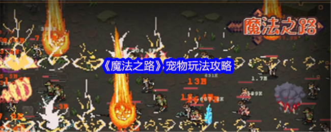 《魔法之路》宠物玩法攻略