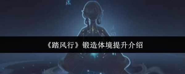 《踏风行》锻造体境提升介绍
