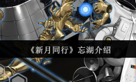 《新月同行》忘湖介绍(同新月异)