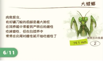 《蜡笔小新：煤炭镇的小白》螳螂捕捉攻略