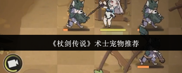 《杖剑传说》术士宠物推荐