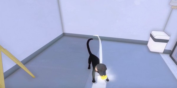 《小猫咪大城市》饭团帽获得方法