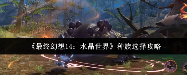 《最终幻想14：水晶世界》种族选择攻略